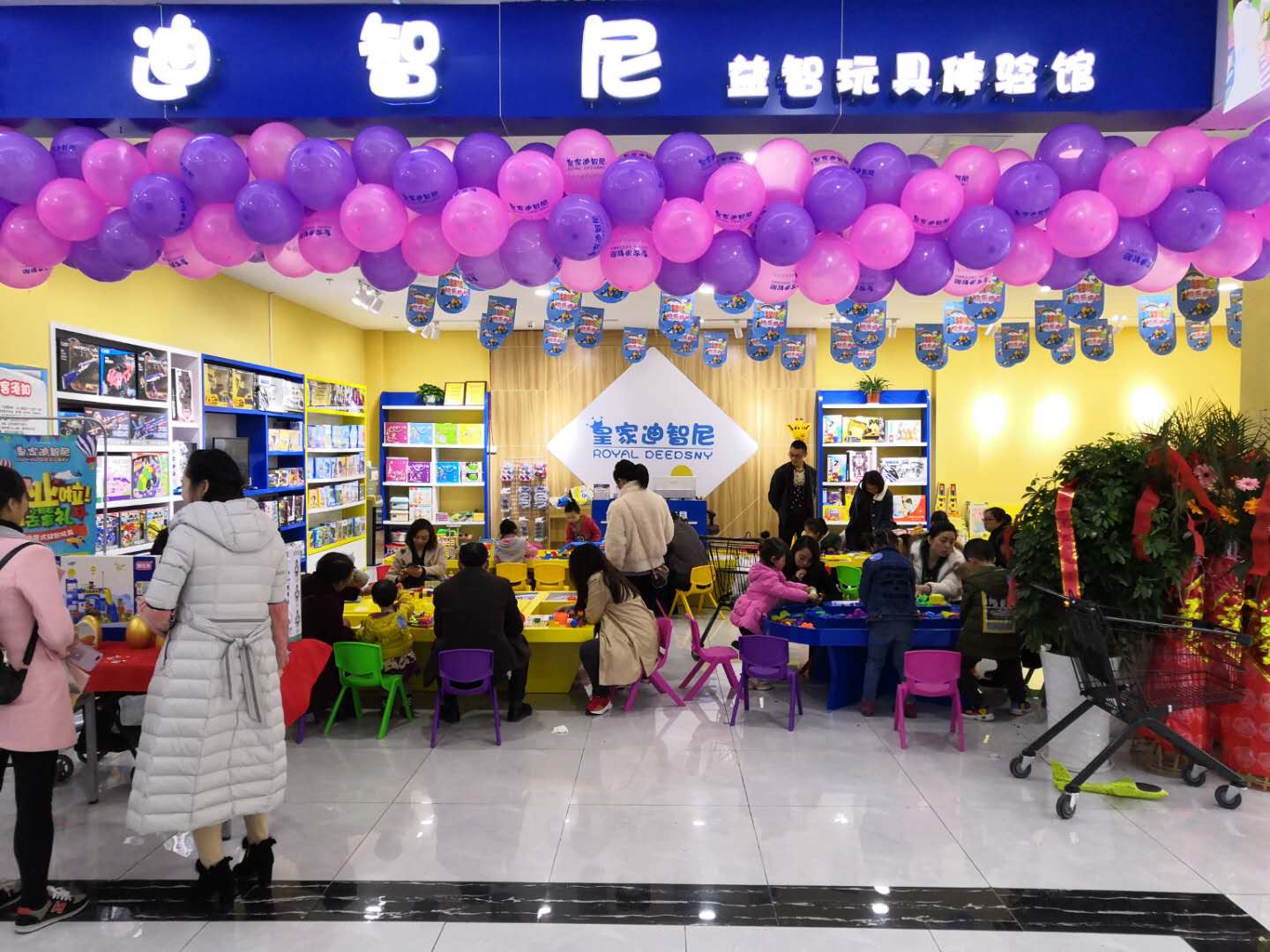 皇家迪智尼益智玩具體驗店 皇家迪智尼益智玩具體驗店