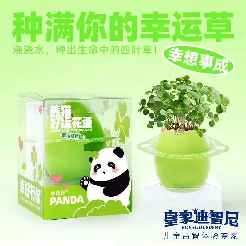 皇家迪智尼 I 好消息，2024年新品上新，兒童益智類的家庭園藝！