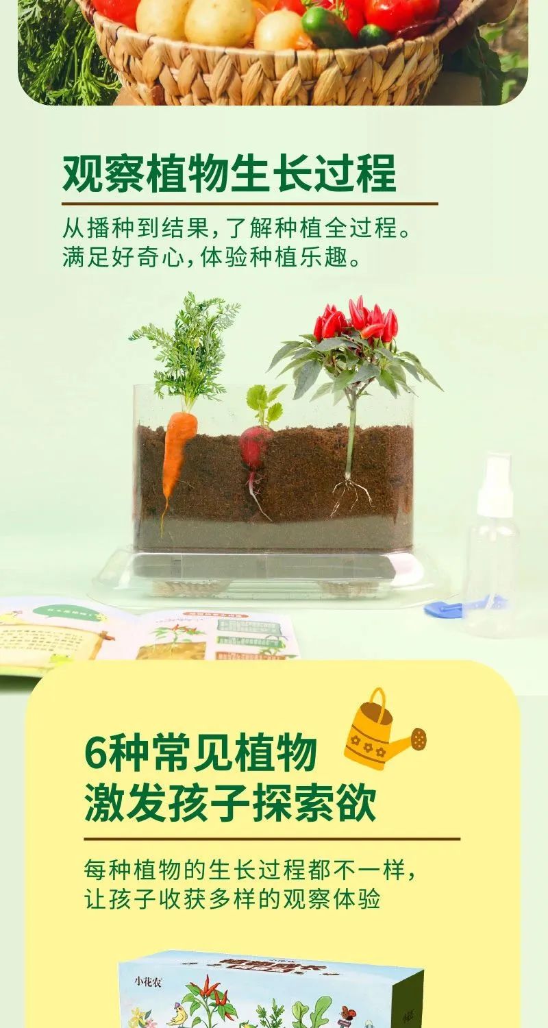 皇家迪智尼 I 兒童益智手工家庭園藝，爆款類手工種植攻略！