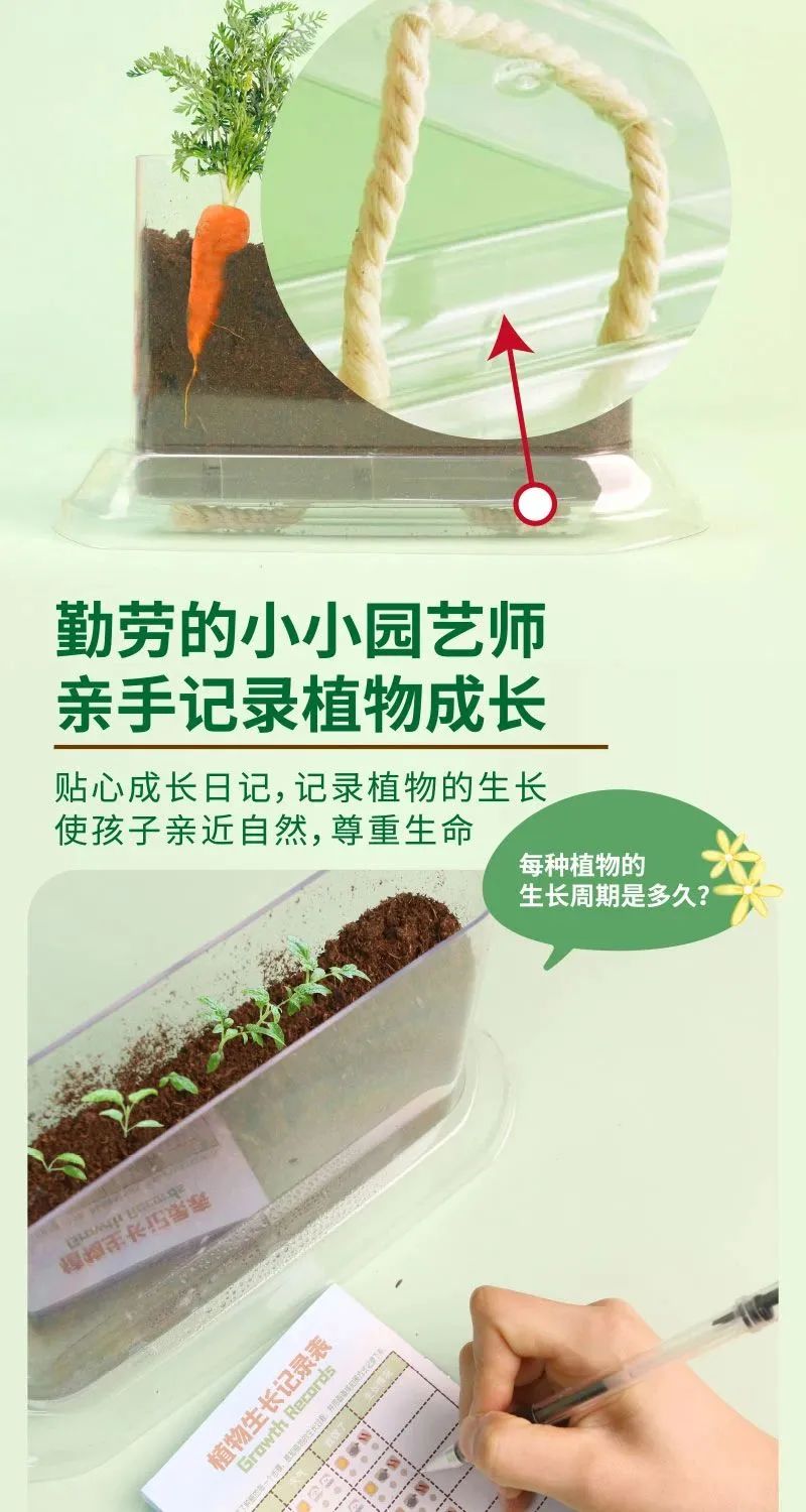 皇家迪智尼 I 兒童益智手工家庭園藝，爆款類手工種植攻略！