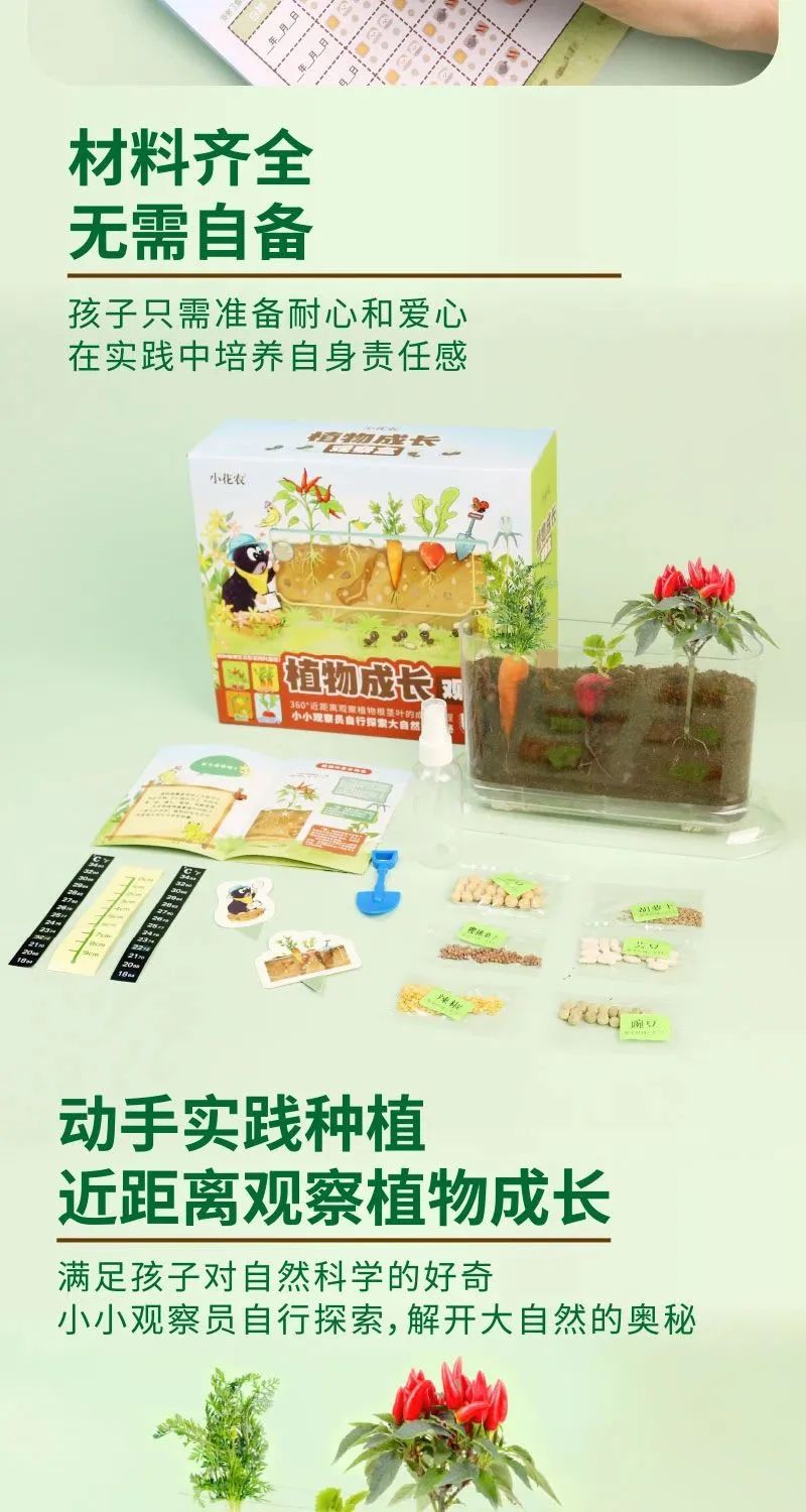 皇家迪智尼 I 兒童益智手工家庭園藝，爆款類手工種植攻略！