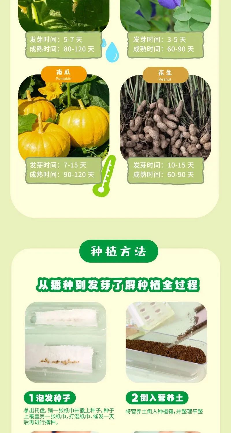 皇家迪智尼 I 兒童益智手工家庭園藝，爆款類手工種植攻略！