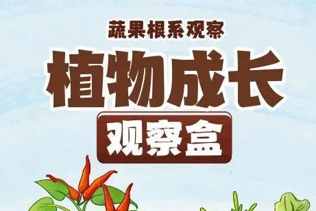 皇家迪智尼 I 兒童益智手工家庭園藝，爆款類手工種植攻略！